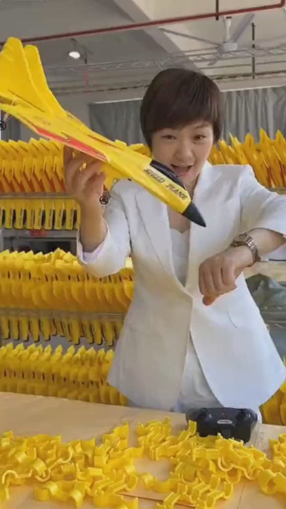 Remote Control Airplane